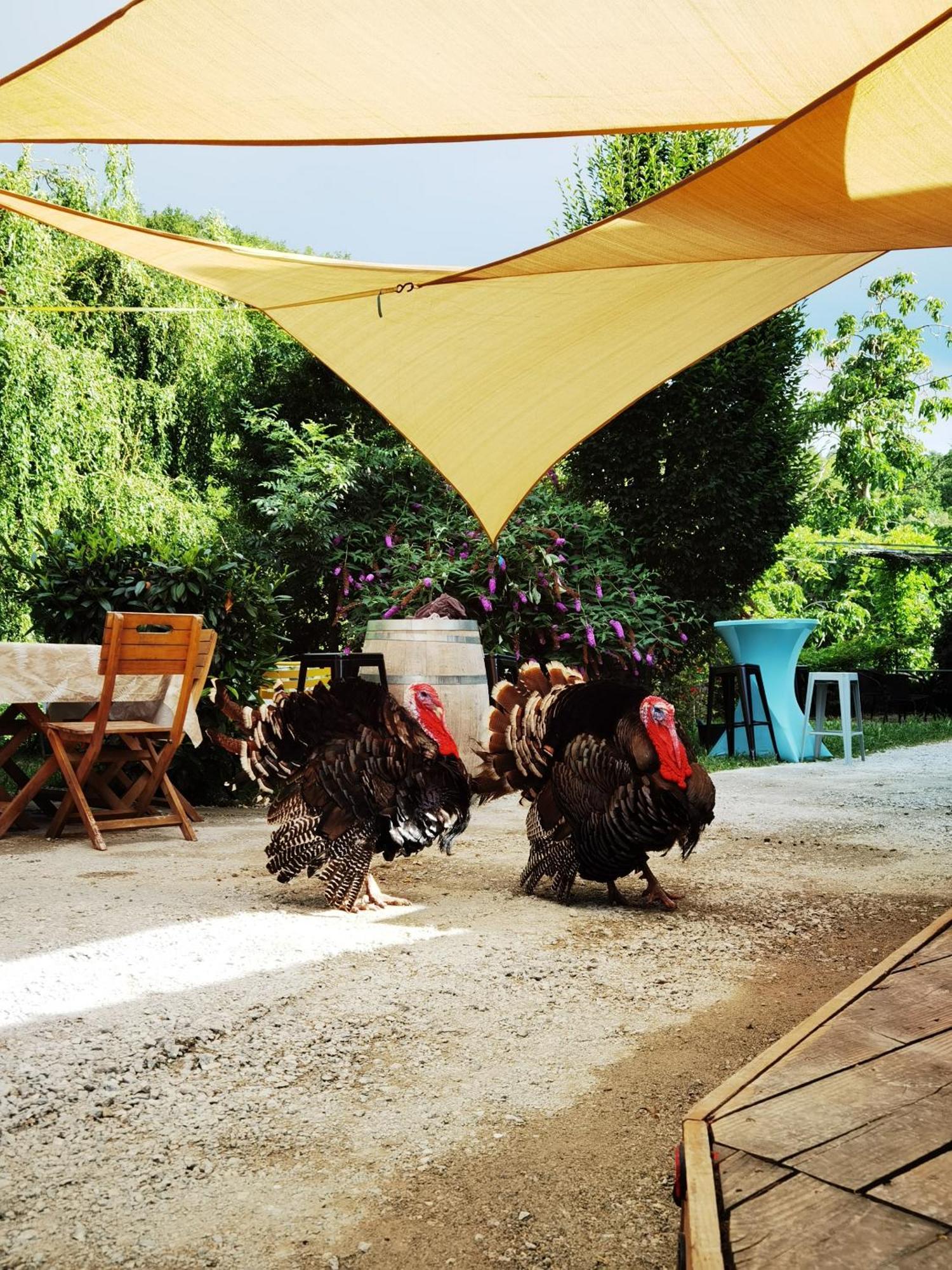 Vila Ferme De Samson Saint-Péray Exteriér fotografie