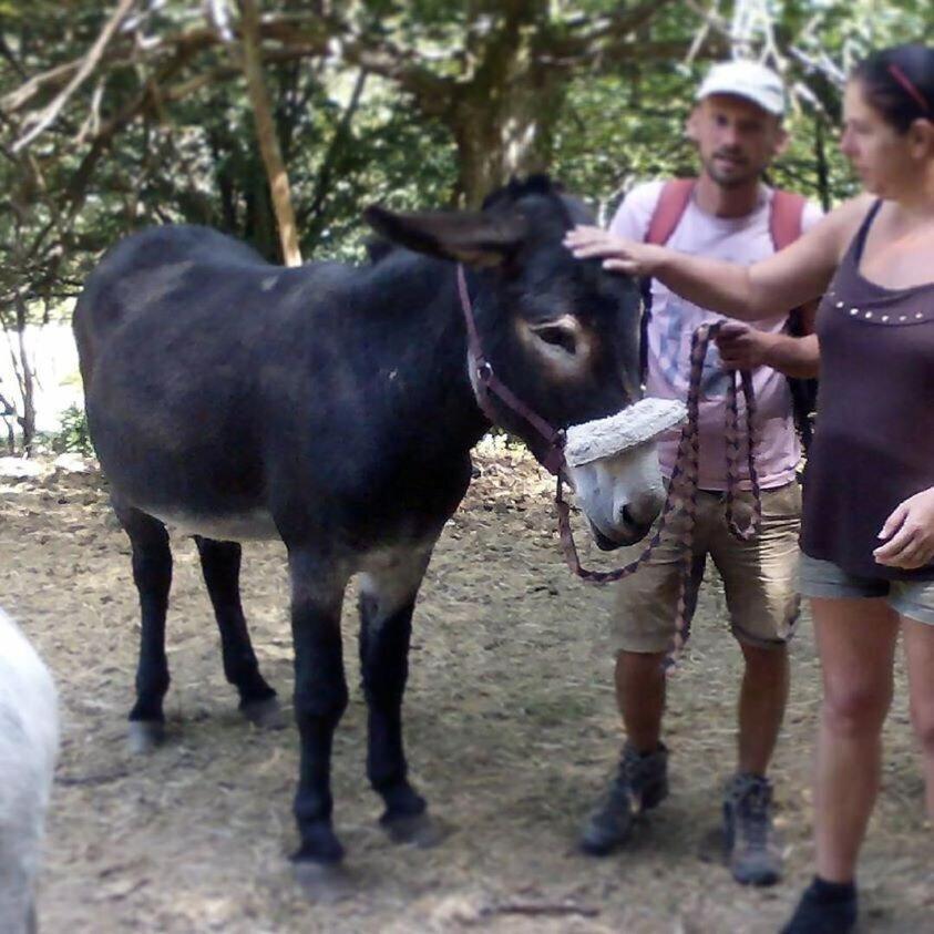 Vila Ferme De Samson Saint-Péray Pokoj fotografie