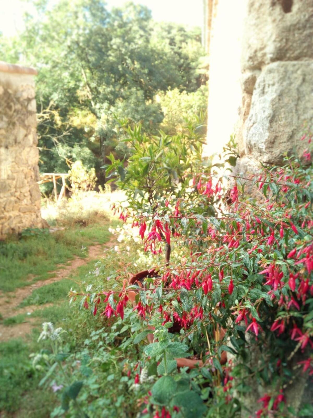 Vila Ferme De Samson Saint-Péray Pokoj fotografie
